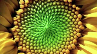 Miniatura de video clip musical Taranis inspirado en Van Gogh